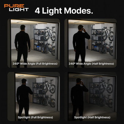 Buy 20 Get 20 Cases Deal