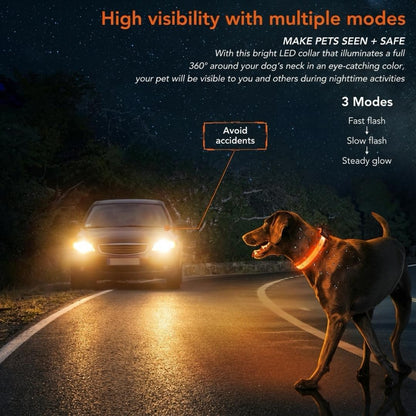 PureLight LED Dog Collar