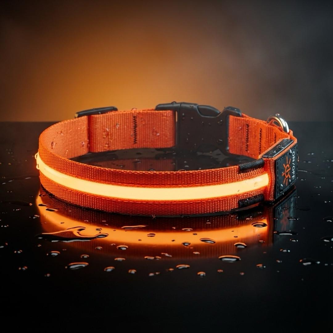 PureLight LED Dog Collar