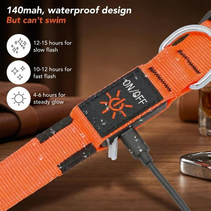 PureLight LED Dog Collar