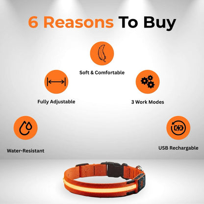 PureLight LED Dog Collar