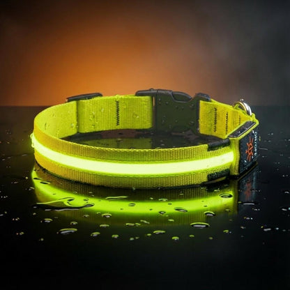 PureLight LED Dog Collar